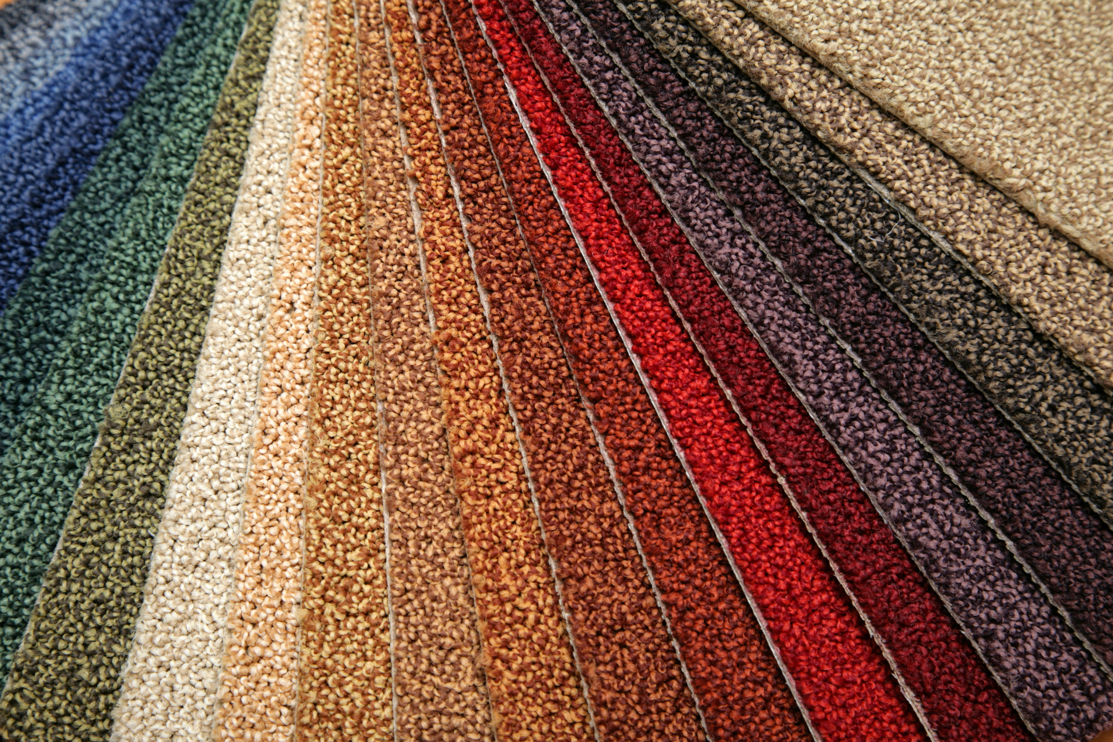 Different colors of carpet samples
